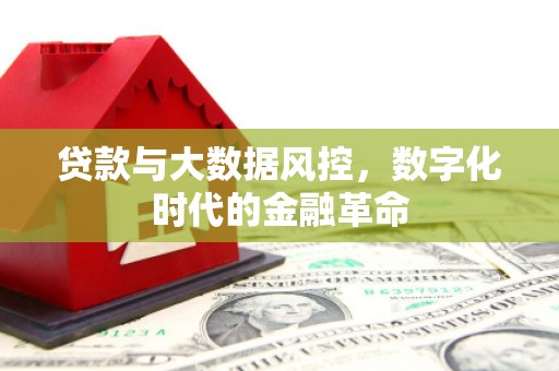 吉隆贷款与大数据风控，数字化时代的金融革命
