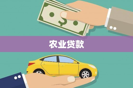 吉隆农业贷款