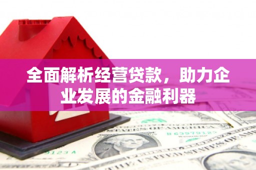 吉隆全面解析经营贷款，助力企业发展的金融利器