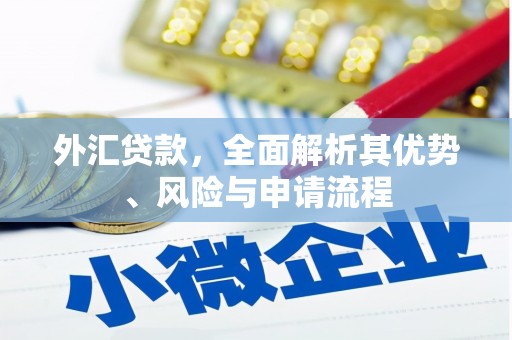 吉隆外汇贷款，全面解析其优势、风险与申请流程