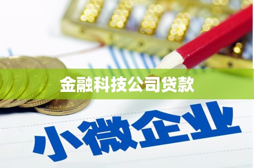 吉隆金融科技公司贷款