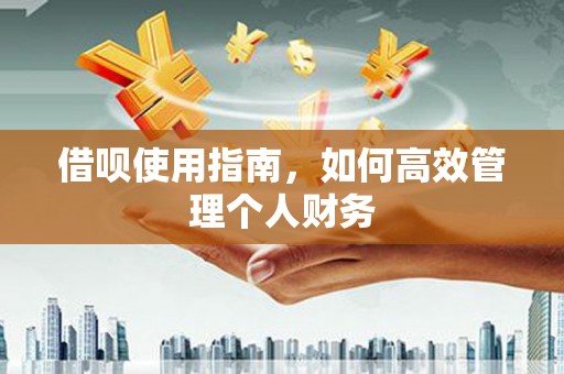 吉隆借呗使用指南，如何高效管理个人财务