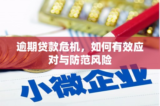 吉隆逾期贷款危机，如何有效应对与防范风险