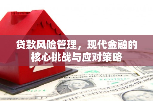 吉隆贷款风险管理，现代金融的核心挑战与应对策略