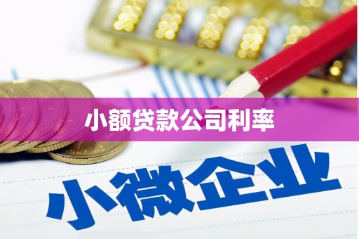 吉隆小额贷款公司利率