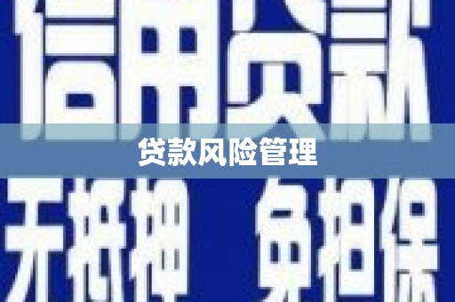 吉隆贷款风险管理