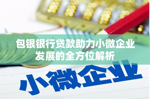 吉隆包银银行贷款助力小微企业发展的全方位解析