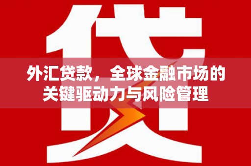 吉隆外汇贷款，全球金融市场的关键驱动力与风险管理