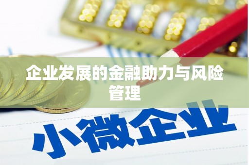 吉隆企业发展的金融助力与风险管理