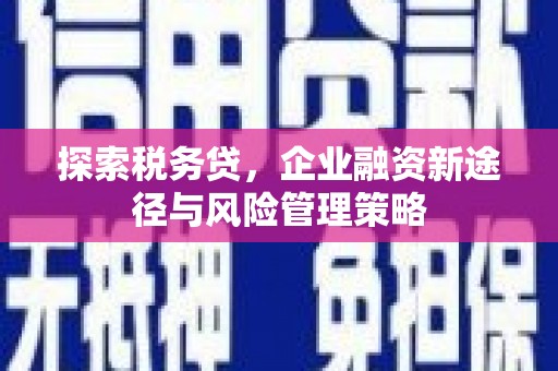 吉隆探索税务贷，企业融资新途径与风险管理策略