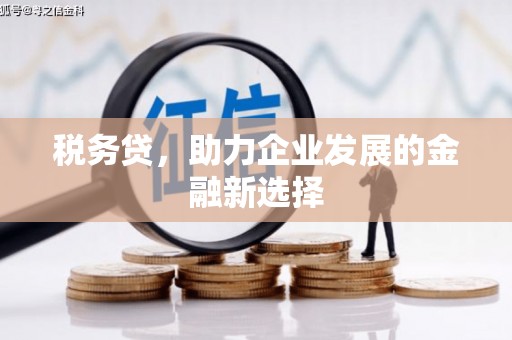 吉隆税务贷，助力企业发展的金融新选择