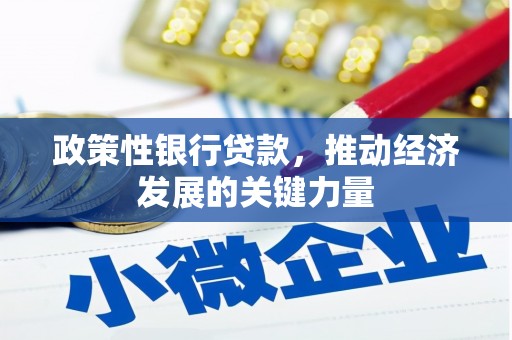 吉隆政策性银行贷款，推动经济发展的关键力量