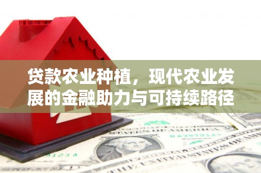 吉隆贷款农业种植，现代农业发展的金融助力与可持续路径