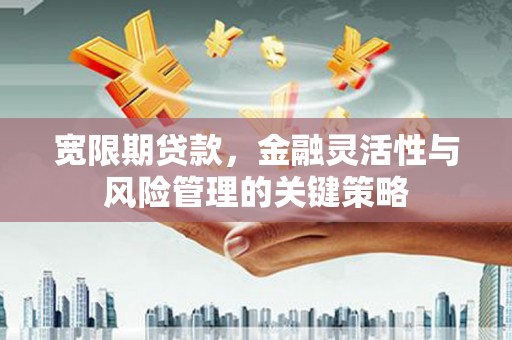 吉隆宽限期贷款，金融灵活性与风险管理的关键策略