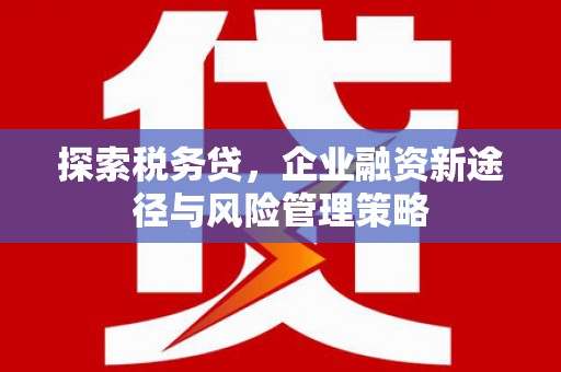 吉隆探索税务贷，企业融资新途径与风险管理策略