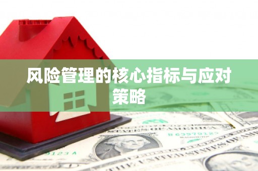 吉隆风险管理的核心指标与应对策略