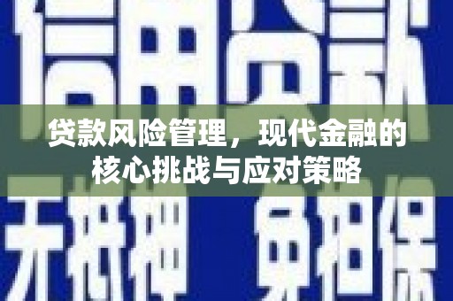 吉隆贷款风险管理，现代金融的核心挑战与应对策略