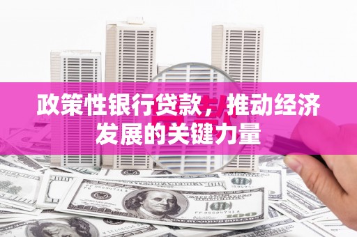 吉隆政策性银行贷款，推动经济发展的关键力量