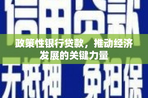 吉隆政策性银行贷款，推动经济发展的关键力量