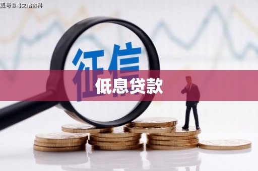 吉隆低息贷款