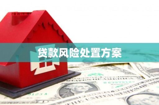 吉隆贷款风险处置方案